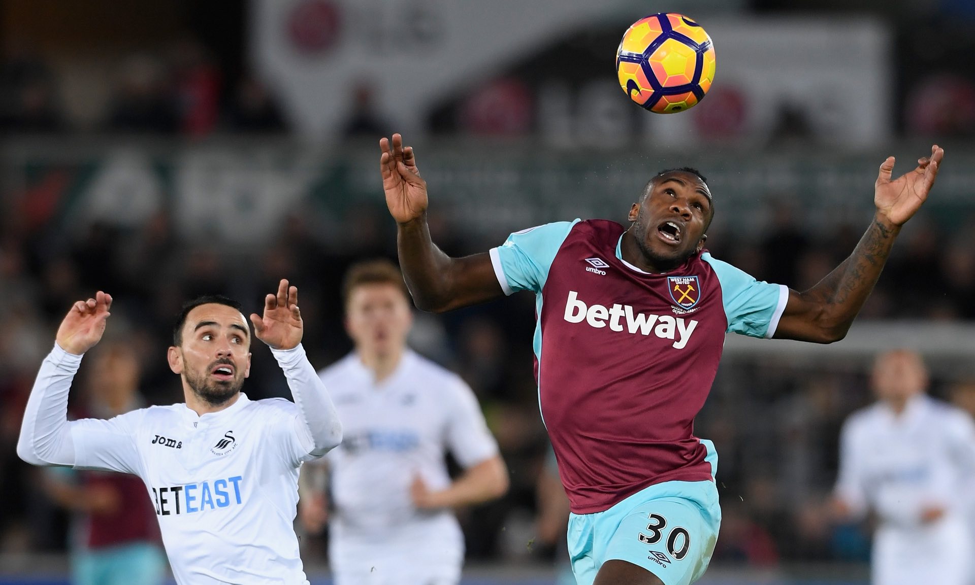 它隱藏於不 它隱藏於不