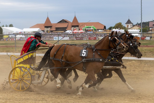 现象背后的 现象背后的