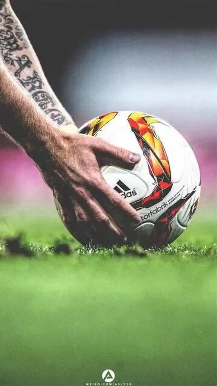 保持敏捷的 保持敏捷的